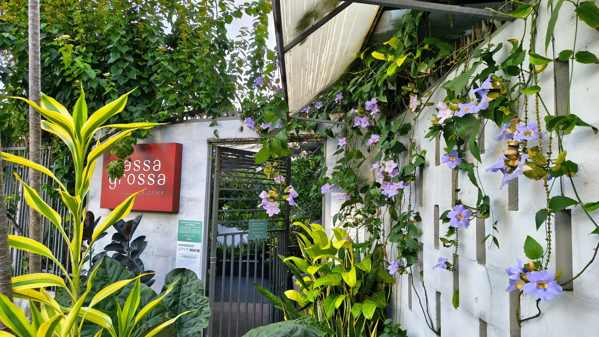 Interior do restaurante Massa Grossa em São Luís — ambiente biofílico com plantas, mesas de madeira e iluminação acolhedora